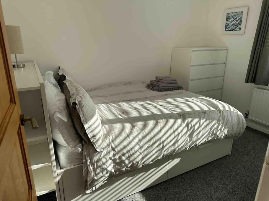 Revamped Holywood Town Centre House Apartment Exterior photo