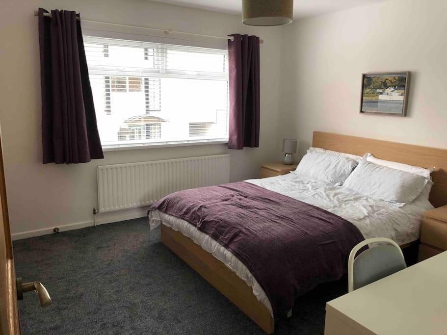 Revamped Holywood Town Centre House Apartment Exterior photo